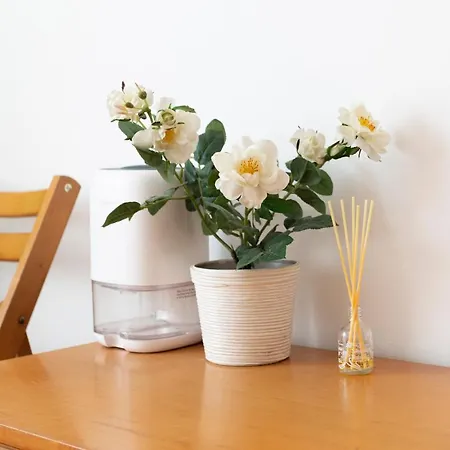 Appartement Apartamento Sant Felix Blanes